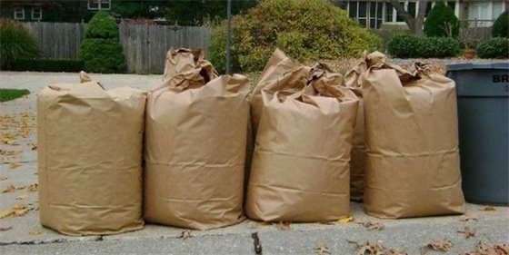 image of full, brown paper leaf bags at the curb. there are houses, trees, and a fence in the background