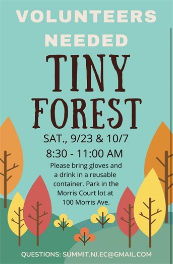 colorful graphic with information on tiny forest volunteers