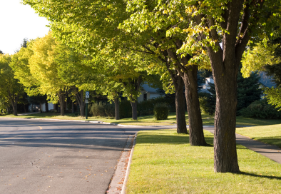 tree lined residential street