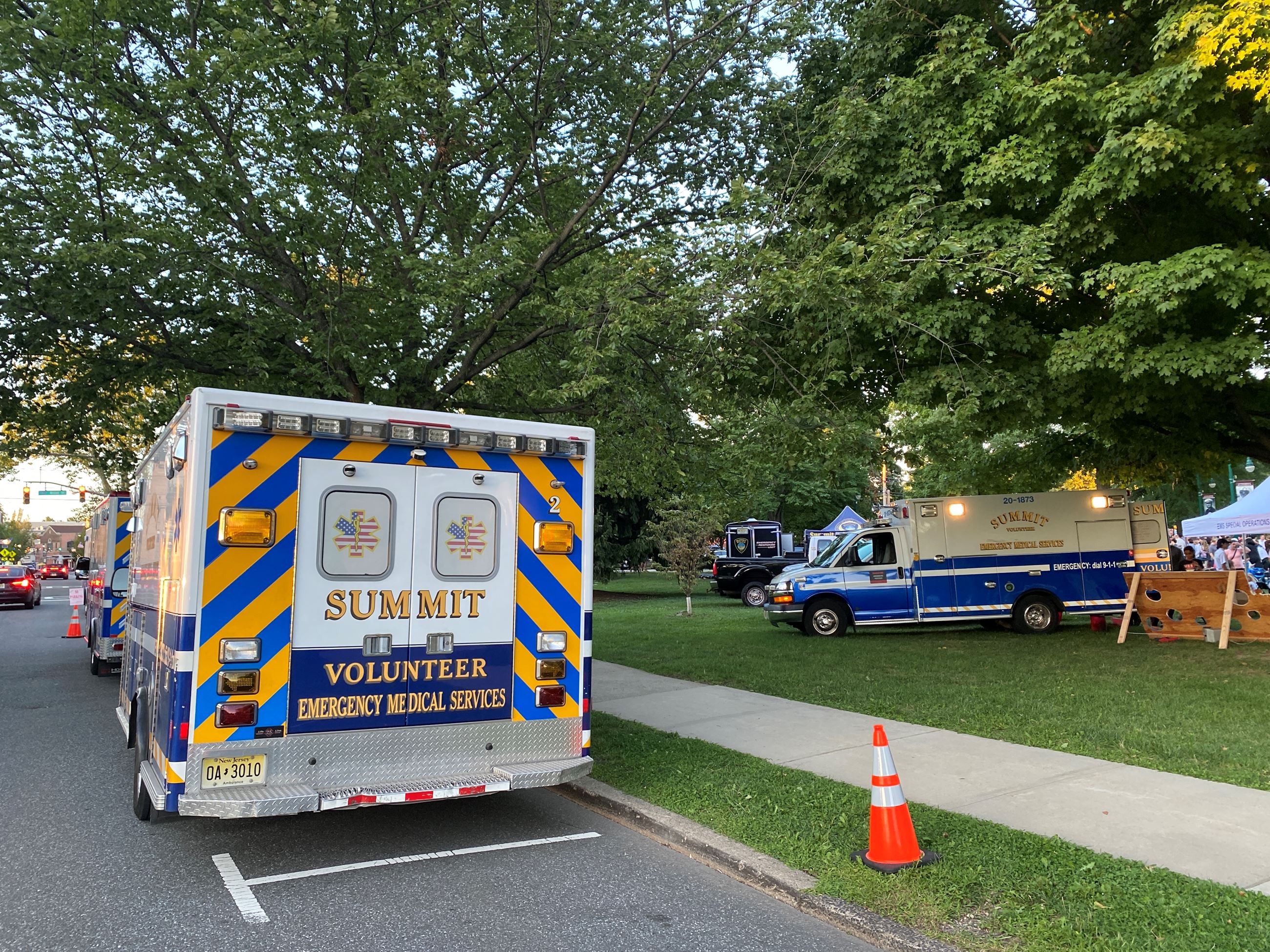 EMS vehicles parked next to and on grassy park area