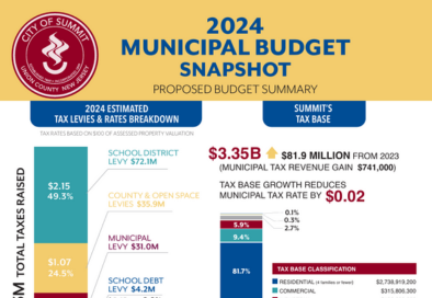 budget document screenshot