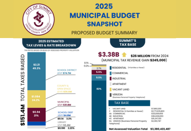 budget document cover