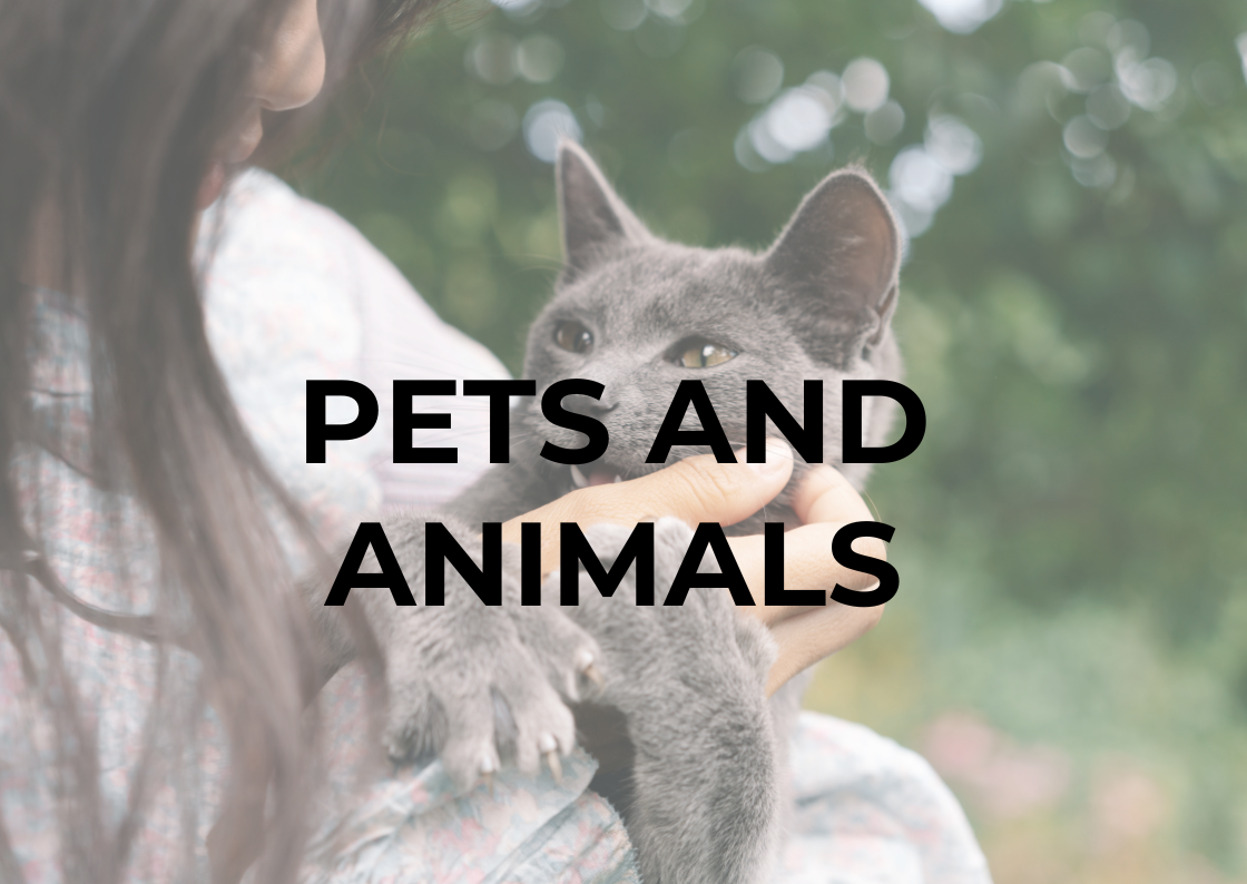 Emergency planning graphic