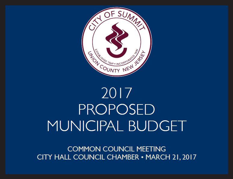 2017 Proposed Municipal Budget