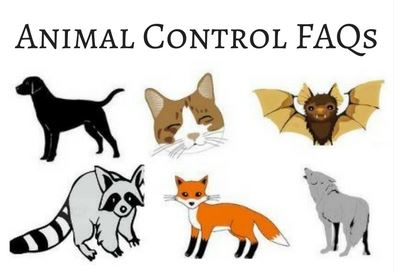 NF Animal Control FAQs