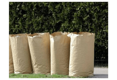 Spring leaf collection newsfeed(1)