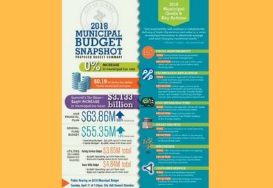Copy of Copy of 2018 Budget Snapshot
