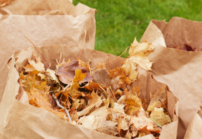 Bagged leaves (394 x 272 px)