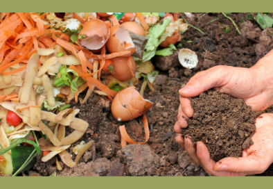 food scraps on the ground and a person holding a handful of dirt