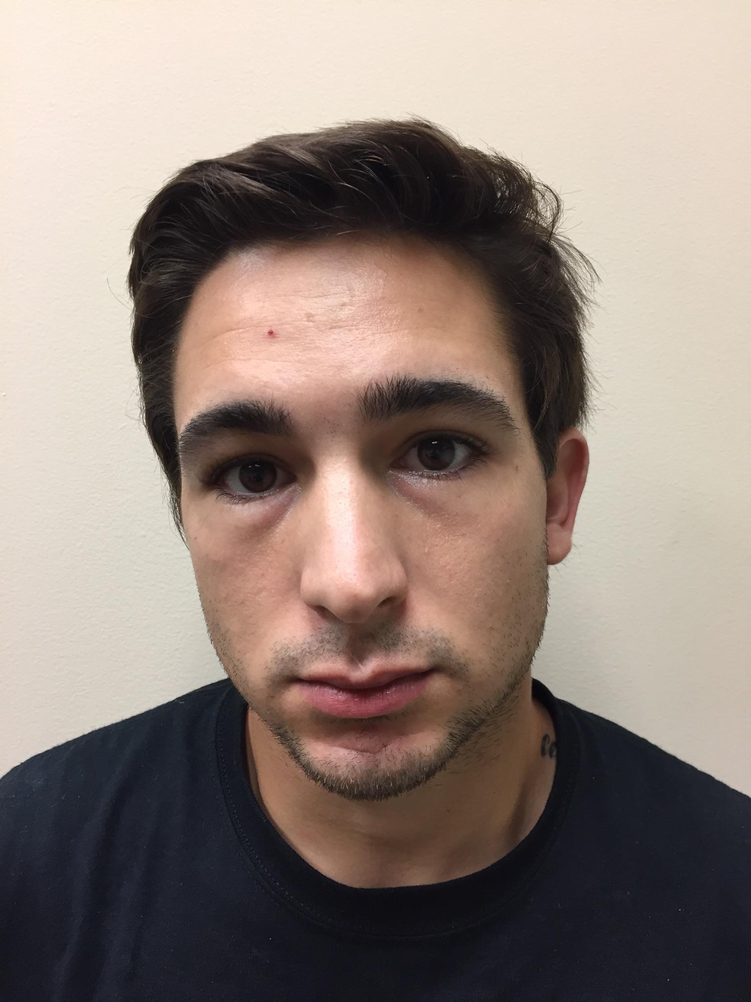 Louis Pietrantuono Arrest Photo